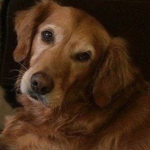 Meet your Posher, Sandy